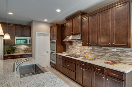 Panther Creek Preserve by Drees Custom Homes in Jacksonville - photo 9 9