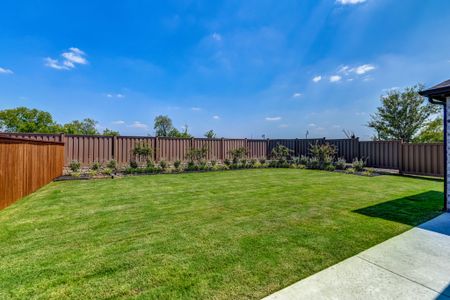 Light Farms by American Legend Homes in Celina - photo 13 13