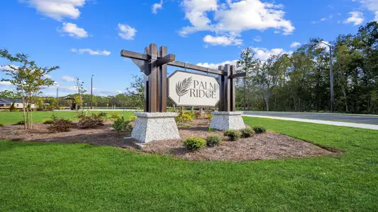Palm Ridge by D.R. Horton in Guyton - image