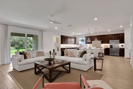 Angeline by Dream Finders Homes in Land O' Lakes - photo 18 18