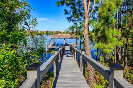 Avalon Cove by Jones Homes USA in Winter Garden - photo 14 14