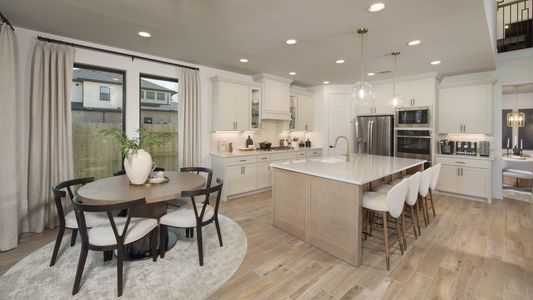 Legacy Prairie at Katy Court 65' 8