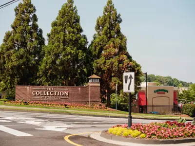 Palisades by The Providence Group in Cumming - image