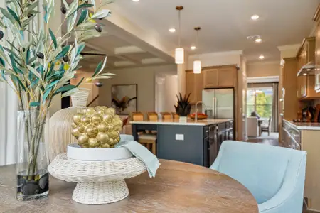 Blue Run by Caruso Homes in Raleigh - image 13
