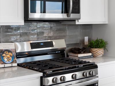 Lyric at RidgeGate Townhomes by Lokal Homes in Lone Tree - image 11