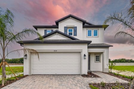 Cobblestone by M/I Homes in Zephyrhills - photo 32 32