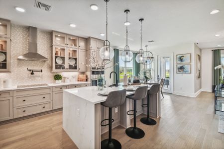 Chapel Crossings by M/I Homes in Wesley Chapel - image 11