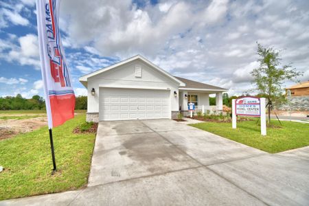 Horse Creek at Crosswinds by Adams Homes in Davenport - photo