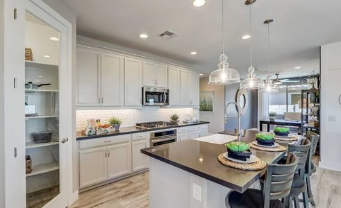 IronWing at Windrose by Brightland Homes in Litchfield Park - photo 28 28