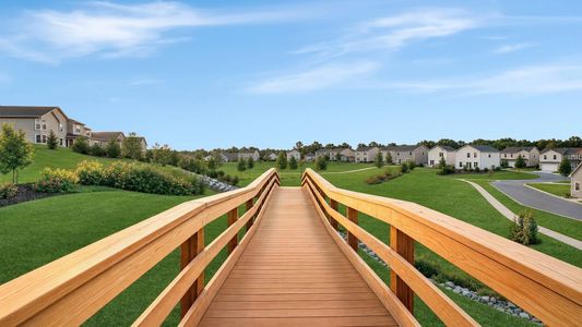 Summit View: Summit View Single Family 18