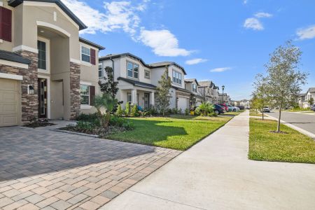 Chapel Crossings by M/I Homes in Wesley Chapel - photo 41 41