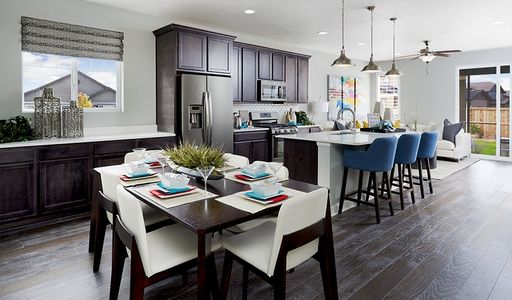 Seasons at Entrada Del Oro by Richmond American Homes in Gold Canyon - photo 20 20