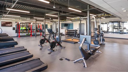 Macanta: The Grand Collection 31