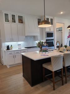Painted Tree by Centre Living Homes in McKinney - photo 44 44