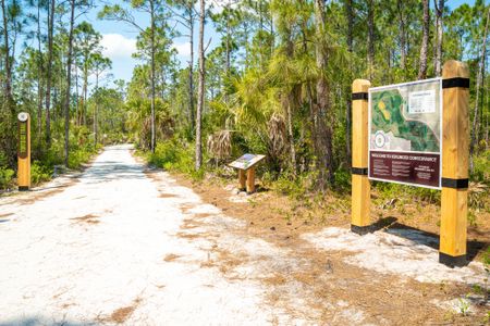 Newfield - Rosette Park 21