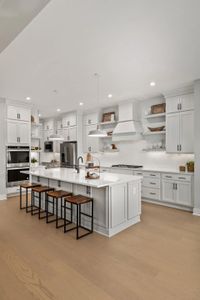 Orrinshire by Drees Custom Homes in Fairview - image 14