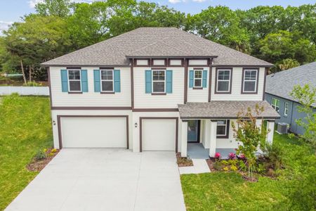 Tamarack at Two Rivers by William Ryan Homes in Zephyrhills - photo 0 0