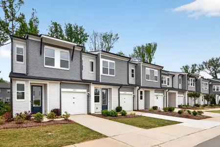 Fifteen 15 Cannon by Tri Pointe Homes in Charlotte - image