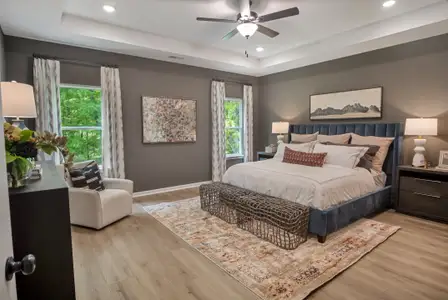 Marlin Pointe by Smith Douglas Homes in White House - image 7