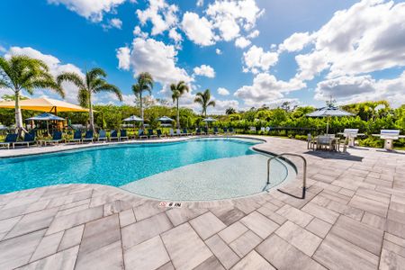 Hendrix Reserve by DiVosta in Lake Worth - image 18