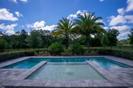 Sorrento & Mount Dora by Maronda Homes in Mount Dora - photo 18 18