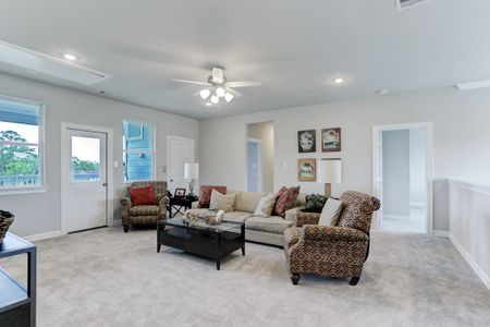 Peacock Isle by Bayway Homes in Dickinson - photo 71 71