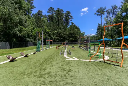Carolina Springs by Lennar in Apex - image