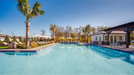 South Creek: The Executives by Lennar in Riverview - photo 0