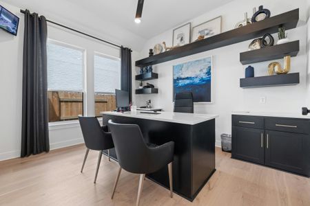 Nolina - 60' 30