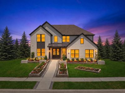 Wildrye by Drees Custom Homes in Waller - image