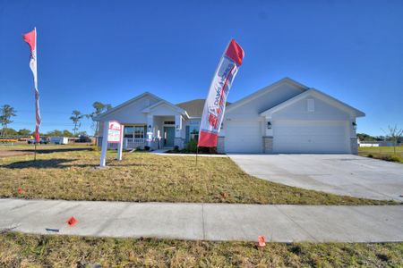 The Reserve by Adams Homes in Lakeland - image