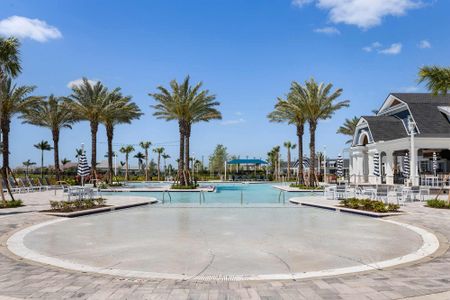 Palmera Wellen Park – Executive Series by David Weekley Homes in Venice - image 13