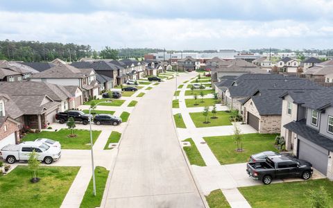 Pecan Estates by CastleRock Communities in Crosby - photo 1 1