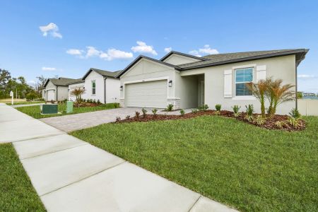 Berry Bay by M/I Homes in Wimauma - image 19