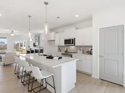 Carsons Landing by Great Southern Homes in Angier - image 7