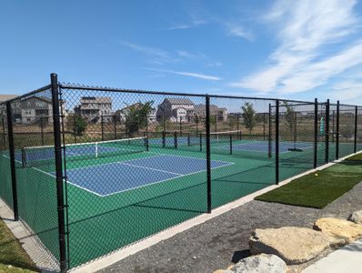 Barefoot Lakes by American Legend Homes in Firestone - photo 10 10