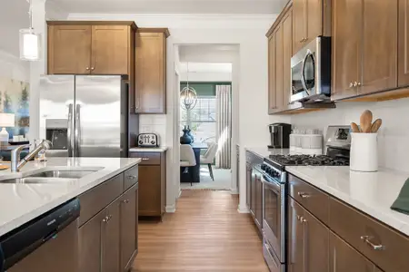 Preservation Creek by Smith Douglas Homes in Alvin - image 3