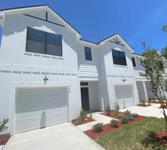 Ashley Laurel Oaks by SEDA New Homes in Jacksonville - image 2