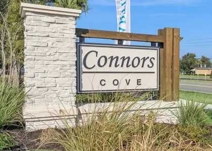 Connors Cove by Hartizen Homes in Eustis - image