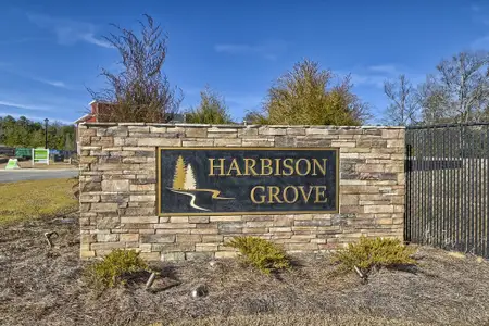 Harbison Grove by McGuinn Homes in Columbia - image