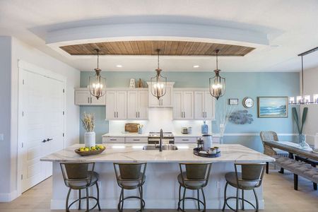 Marina Del Palma by Paytas Homes in Palm Coast - image 12