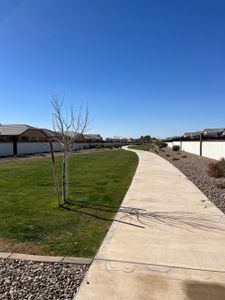 Anderson Farms: Arbor by Lennar in Maricopa - photo 30 30