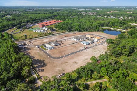 Oakstead Estates by M/I Homes in Land O' Lakes - photo 2 2