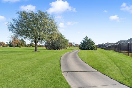 Stone River Glen 50s by Bloomfield Homes in Royse City - photo 2 2