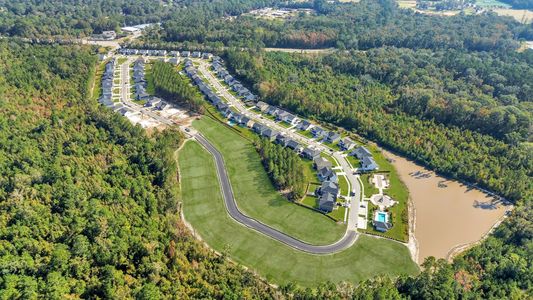 McAllister Pointe by Smith Family Homes in Richmond Hill - image 9