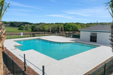 Crossroads at Kelly Park by Dream Finders Homes in Apopka - image
