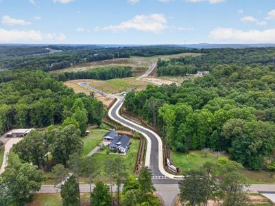 Bleckley Station by Pulte Homes in Ball Ground - image