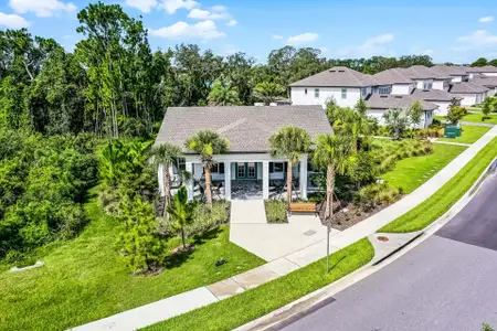 Northlake At Ovation by Rockwell Homes in Winter Garden - image 18