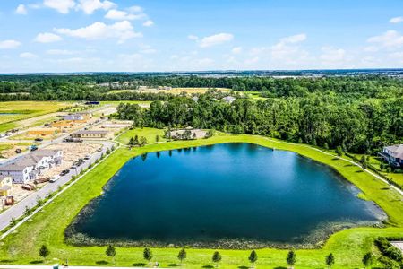 Northlake At Ovation by Rockwell Homes in Winter Garden - image 17