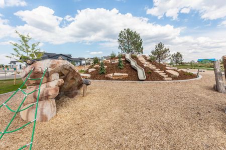 Trailside Alley Load - Single Family Homes 45
